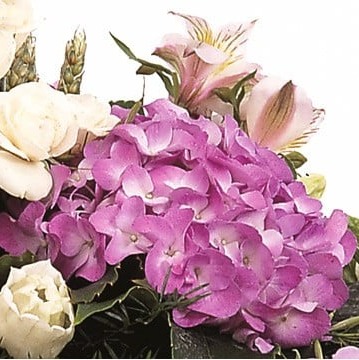 Photo de Ludovic  FAIDERBE