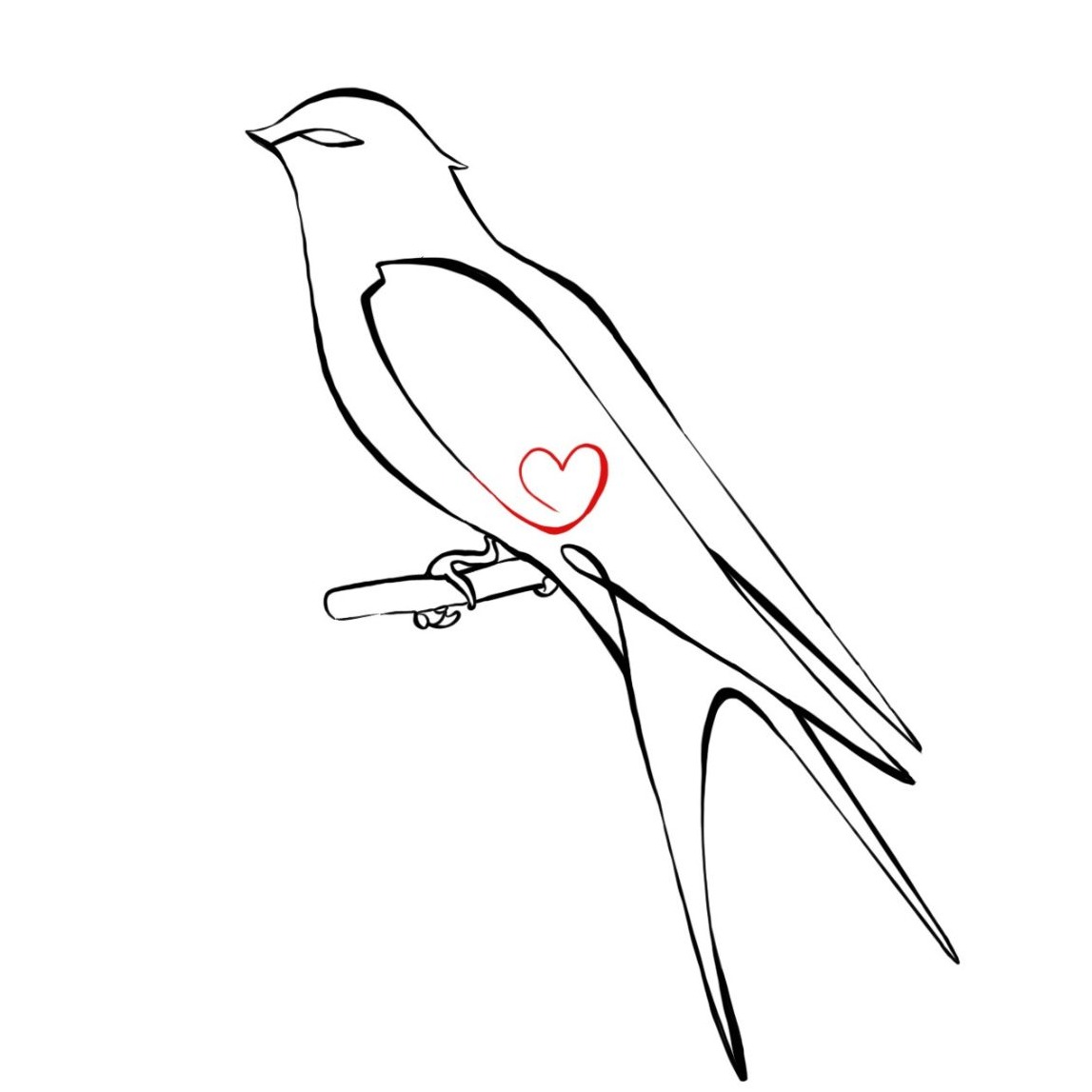 Photo de Dominique TOUAH