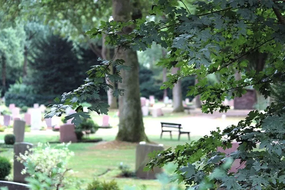 Vue paisible d'un cimetière paysager avec tombes et arbres sous un beau soleil.